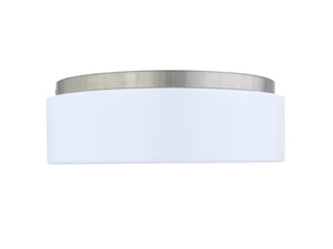 GR-251 - Bath Ceiling Fixture - Scenic