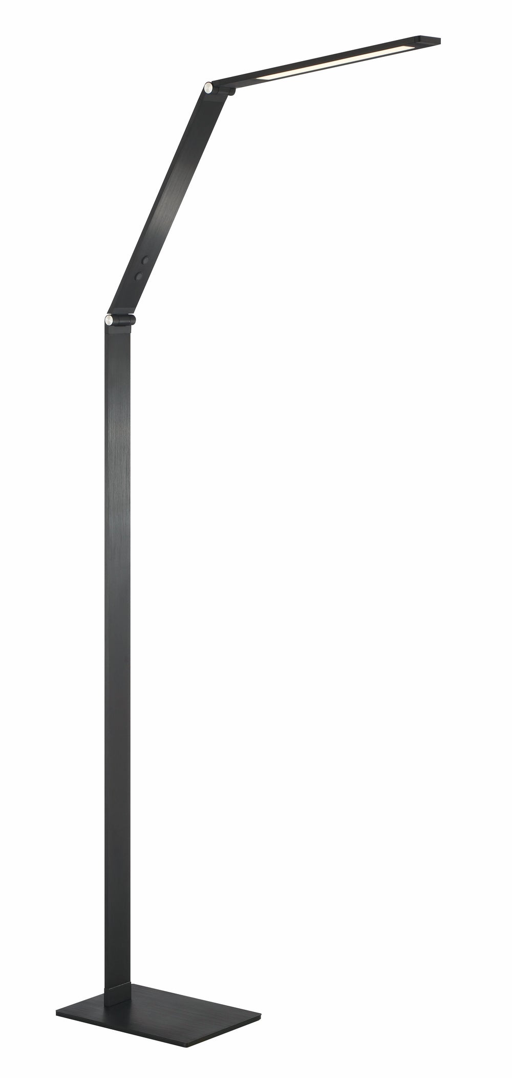 LED Floor Lamp - P082-66F-L