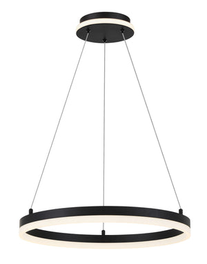 Recovery - LED Pendant Fixture - P1910-66A-L